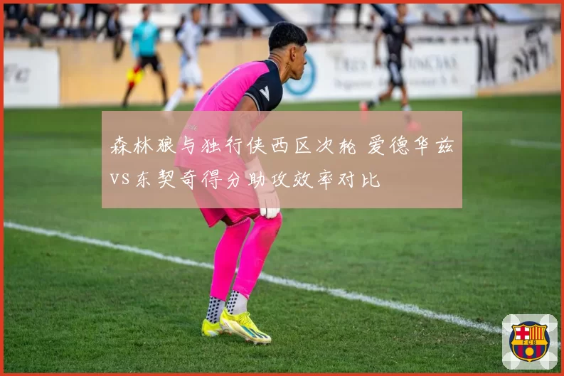 森林狼与独行侠西区次轮 爱德华兹vs东契奇得分助攻效率对比
