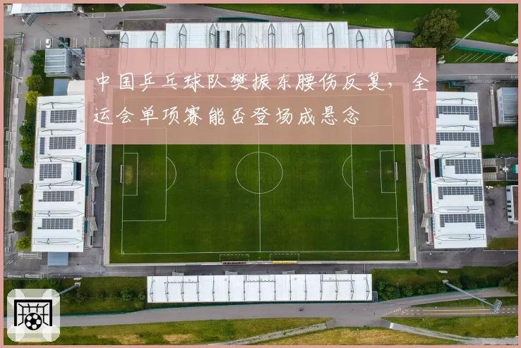中国乒乓球队樊振东腰伤反复，全运会单项赛能否登场成悬念