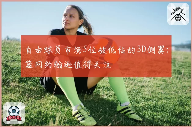 自由球员市场5位被低估的3D侧翼:篮网约翰逊值得关注