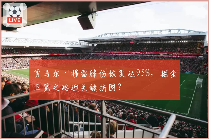 贾马尔·穆雷膝伤恢复达95%，掘金卫冕之路迎关键拼图？