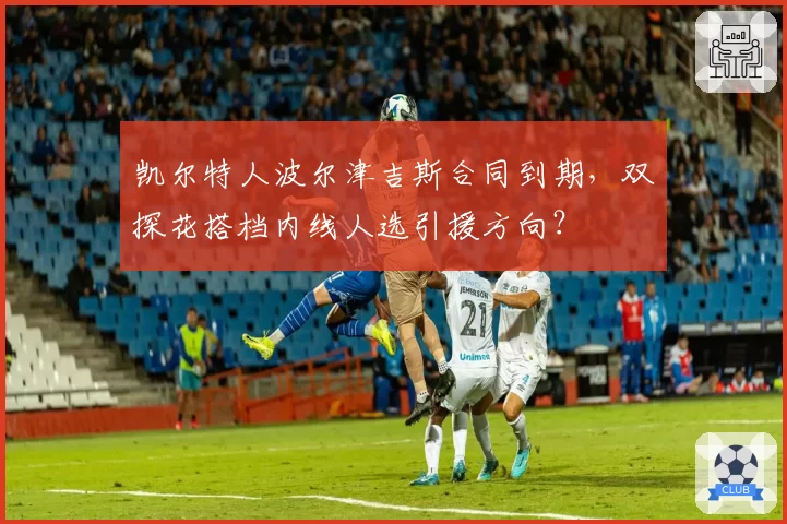 凯尔特人波尔津吉斯合同到期,双探花搭档内线人选引援方向?