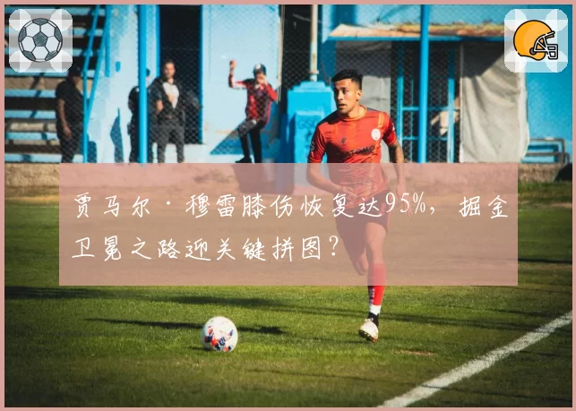 贾马尔·穆雷膝伤恢复达95%，掘金卫冕之路迎关键拼图？