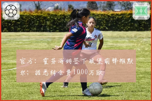 官方：霍芬海姆签下狼堡前锋维默尔；据悉转会费1000万欧