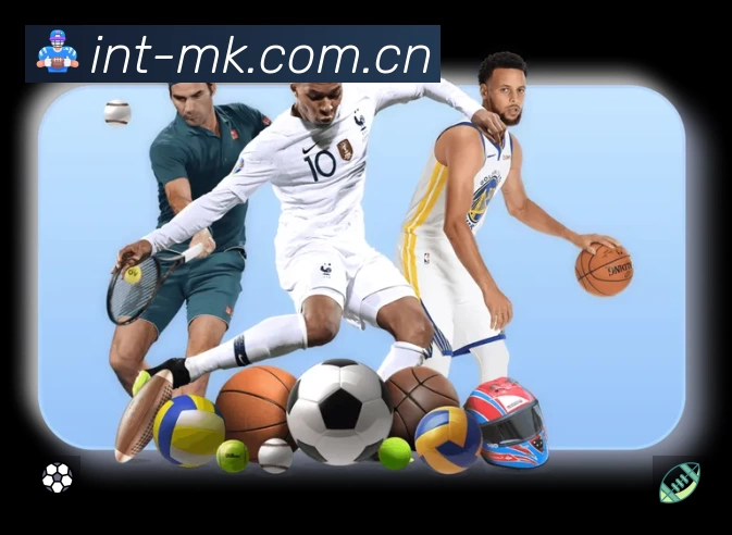 结构优化认证展示